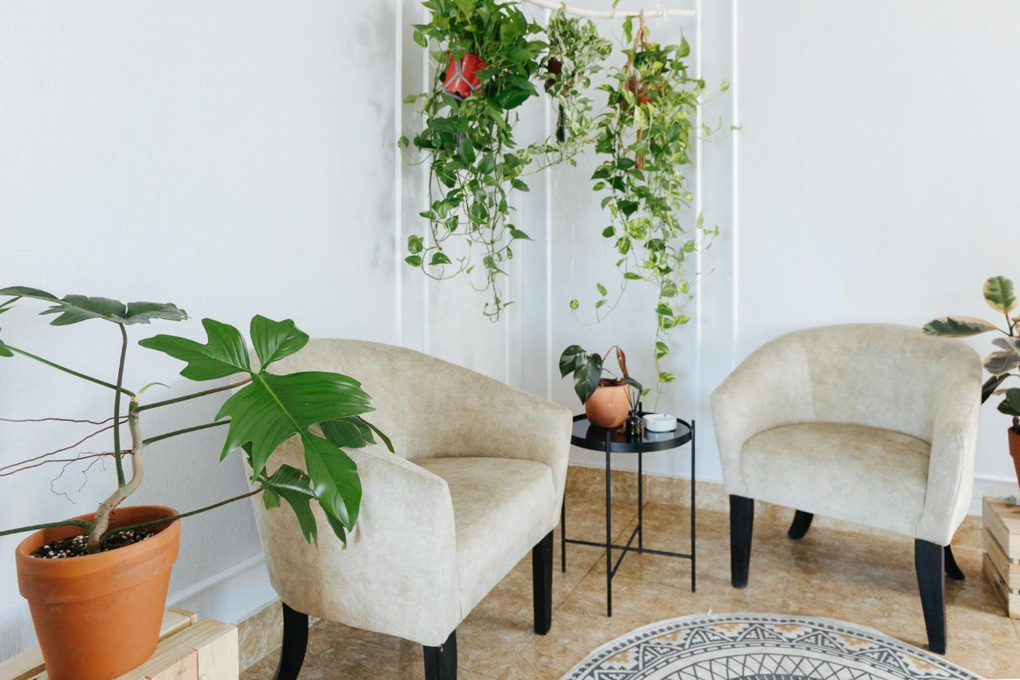 האנוי Ivy Hotel & Apartment - Stay 24H מראה חיצוני תמונה